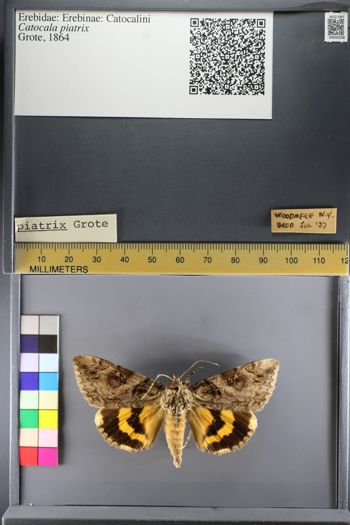 Media type: image;   Entomology 640338